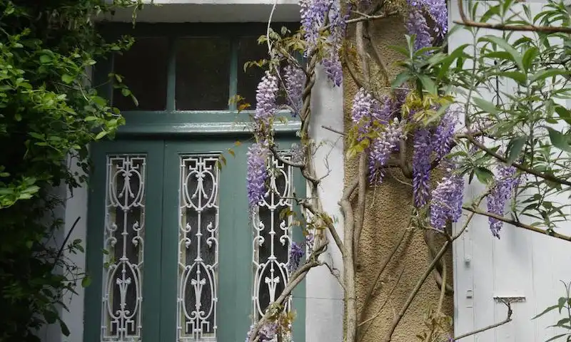 Maison de maître à vendre dans l'Yonne : charme, jardin et potentiel