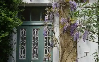 Maison de maître à vendre dans l'Yonne : charme, jardin et potentiel