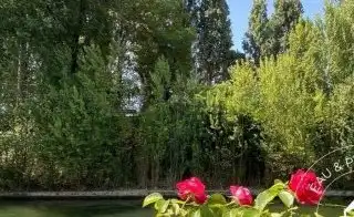 Maison flottante à Neuilly : 160 m², terrasse, environnement calme et verdoyant sans vis-à-vis