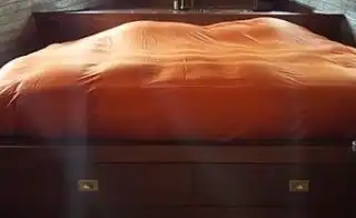 Vente de péniche Paris 8 - Vue Exceptionnelle sur les Tuileries