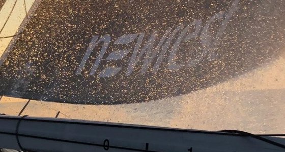 Convoyage du nouveau bateau de Fabrice Amedeo