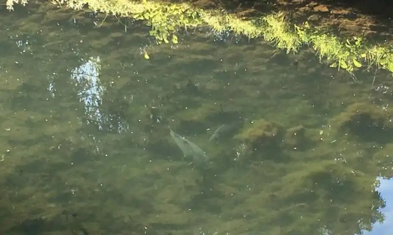 Moulin sur 4 hectares 1 heure 30 de Paris