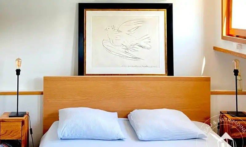 Péniche à vendre Paris 6 – Vue Splendide Louvres et Île de la Cité