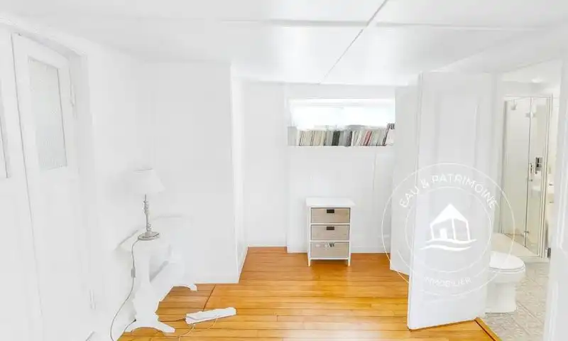 Péniche Freycinet navigante dans un cadre naturel à Saint-Maur-Des-Fossés – 399 000 €